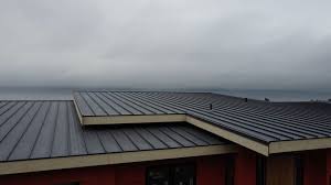 Best Roof Waterproofing  in Quinlan, TX